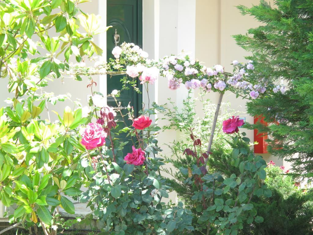 Liogerma Apartments Τσουκαλάδες Εξωτερικό φωτογραφία