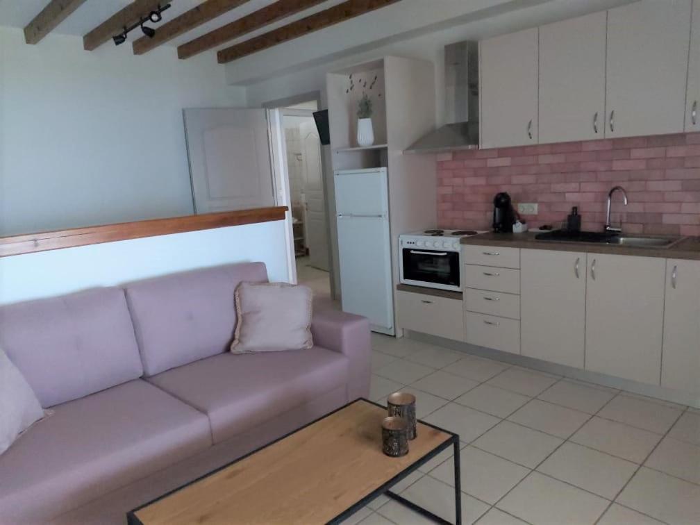 Liogerma Apartments Τσουκαλάδες Εξωτερικό φωτογραφία
