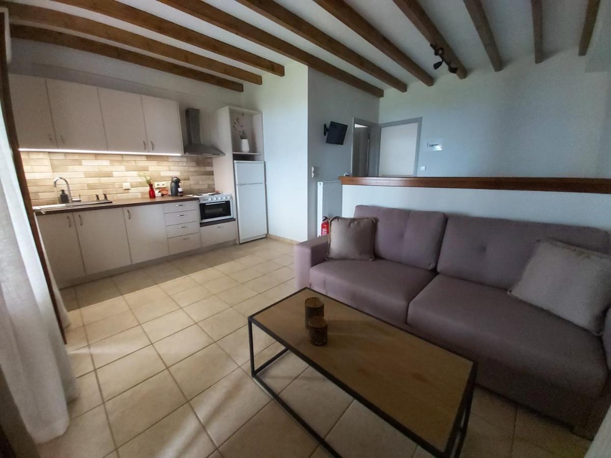 Liogerma Apartments Τσουκαλάδες Εξωτερικό φωτογραφία